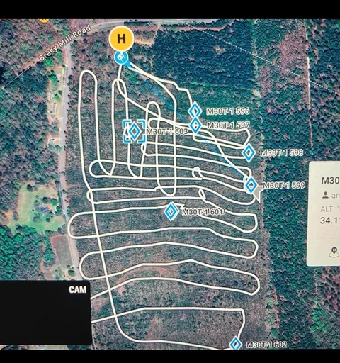 Previous deer herd analysis surveyed property map 3